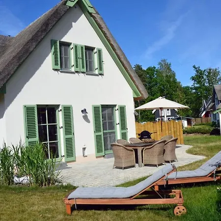 Seagrass Comfortable Glowe