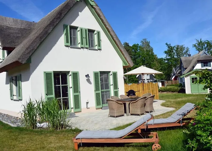 Seagrass Comfortable 格洛威